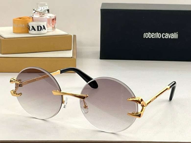 Picture of Roberto Cavalli Sunglasses _SKUfw55792303fw